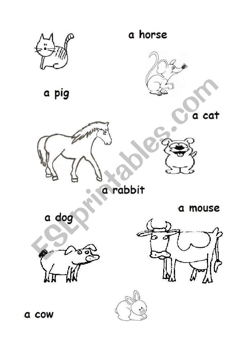 matching exercise worksheet