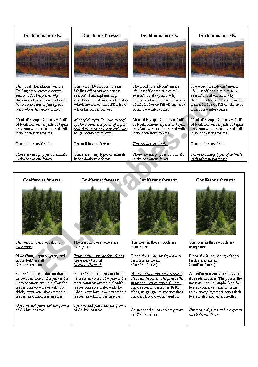 In the forest worksheet