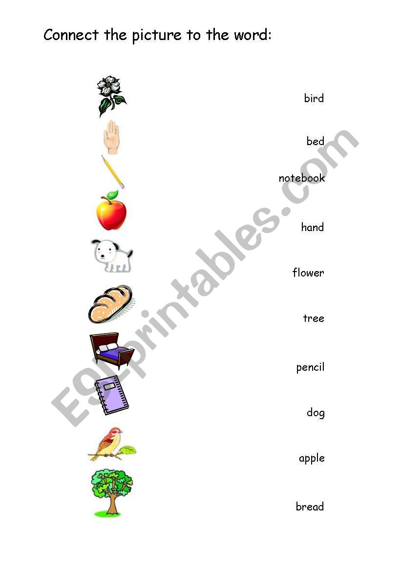 elementary test / worksheet for beginners and special needs students