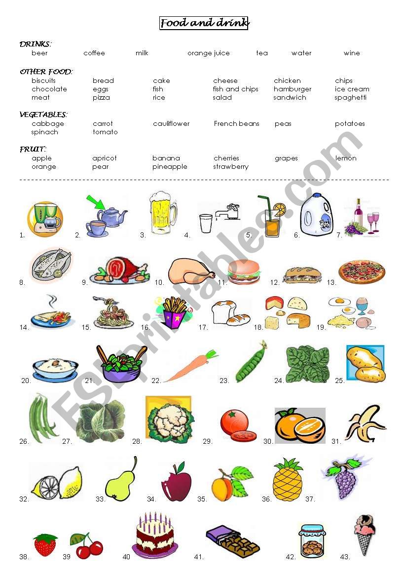 food worksheet