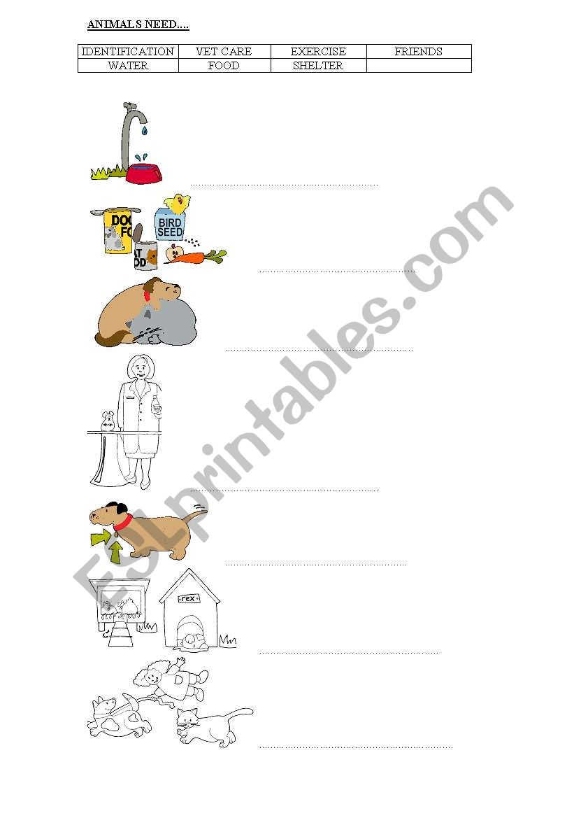 What animals need worksheet