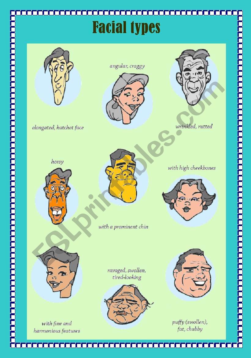Facial Types worksheet