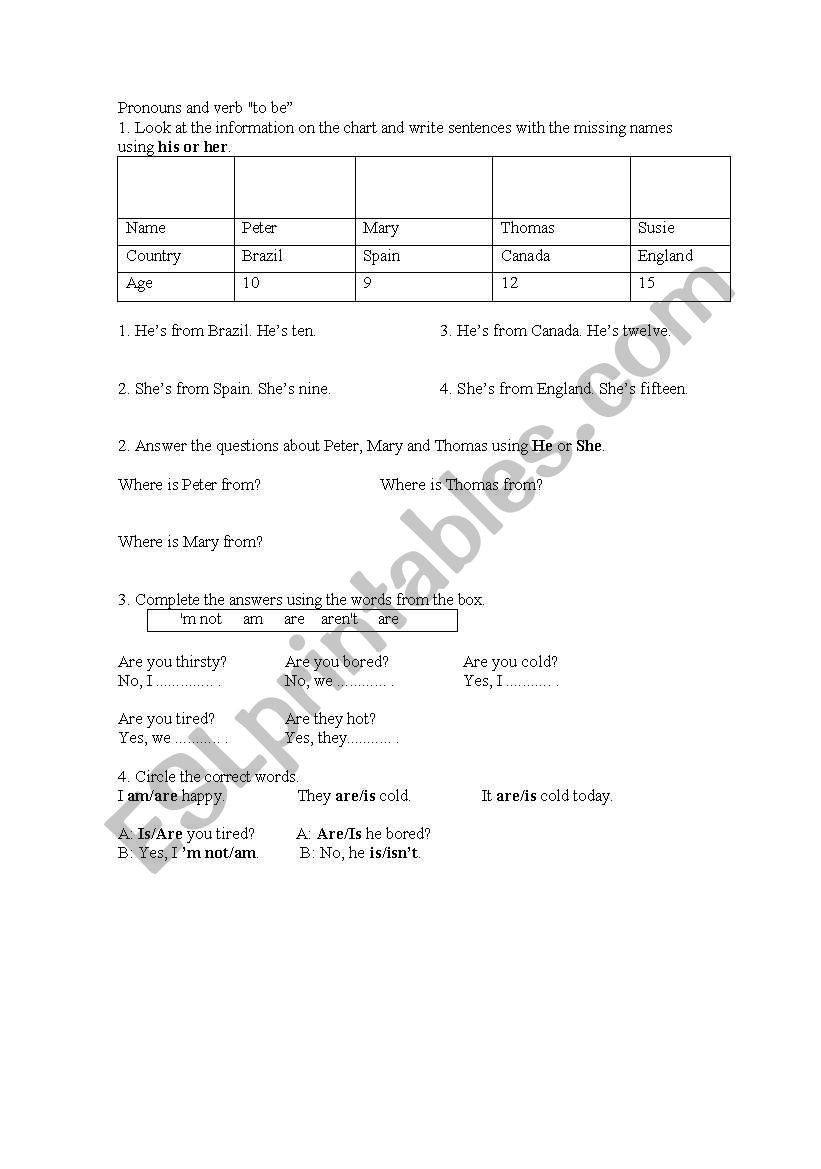 Pronouns and verb 