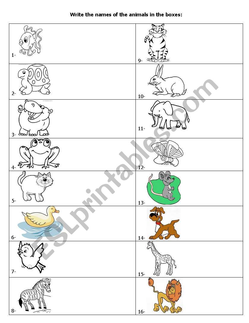 ANIMALS CROSSWORD worksheet