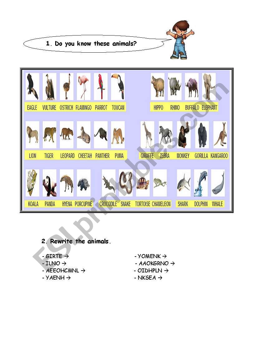 Wild animals worksheet