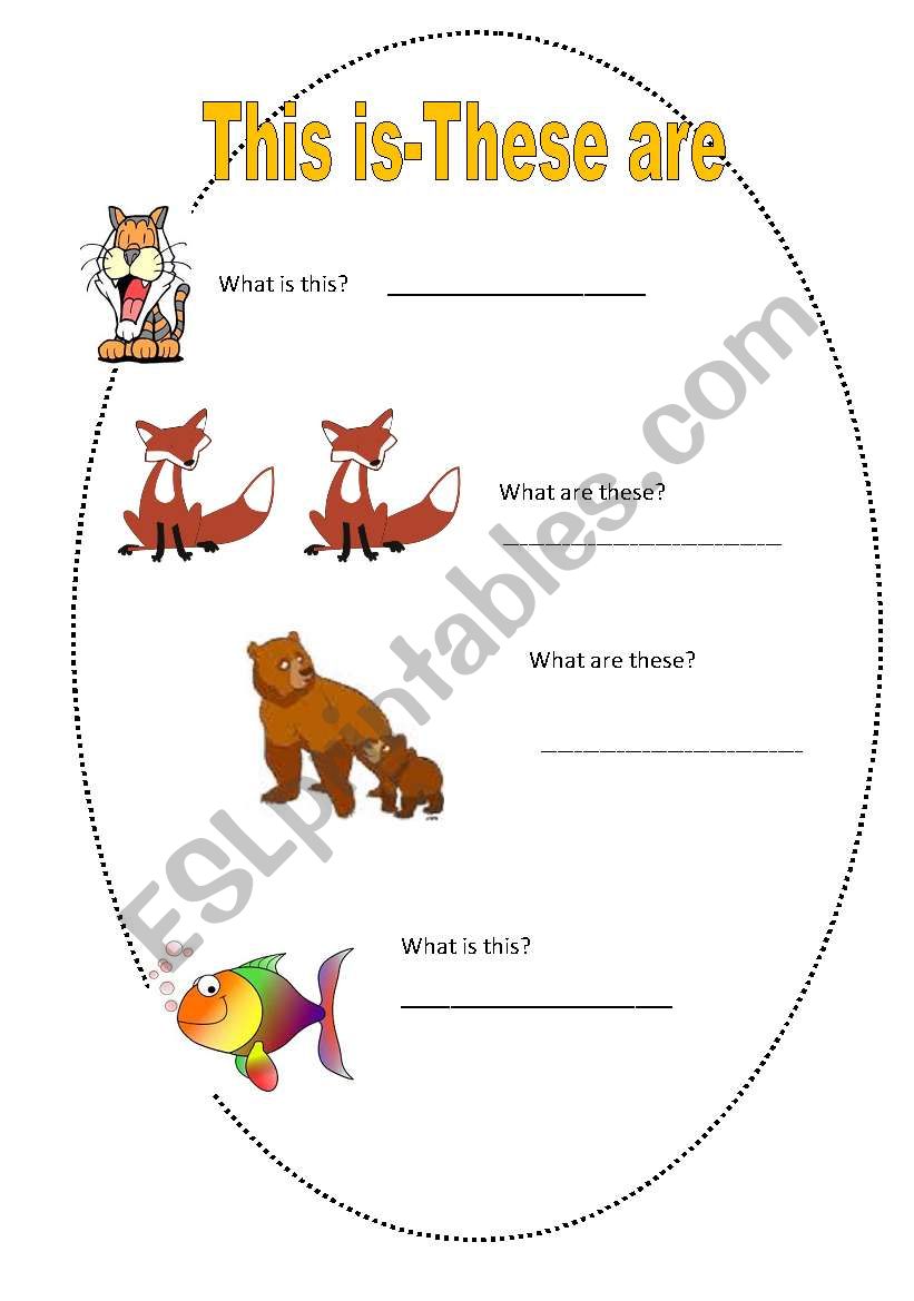 What is this? worksheet