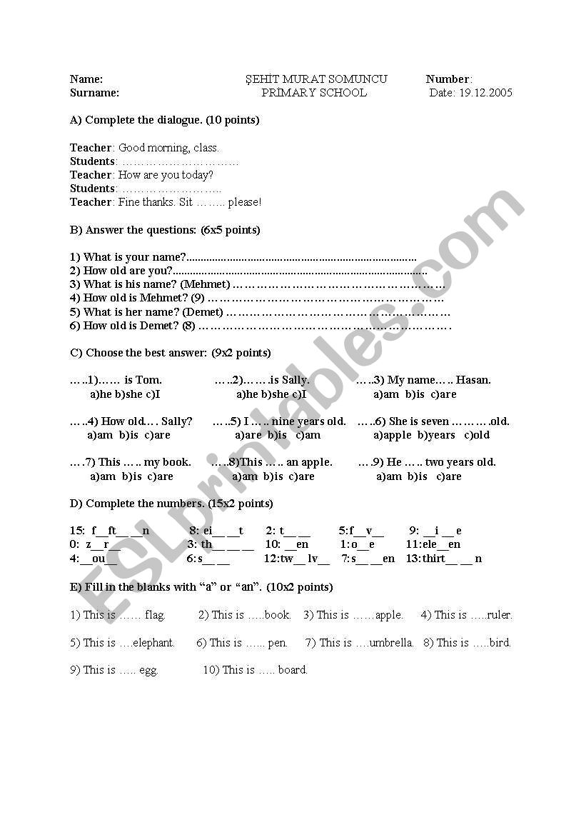 a sample exam for beginners worksheet