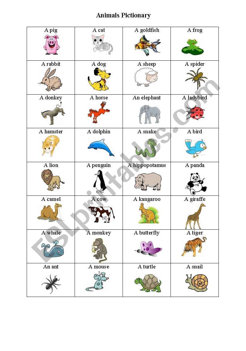 animal part 2 goes with bingo worksheet