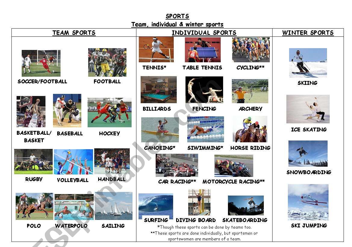 SPORTS. TEAM, INDIVIDUAL & WINTER SPORTS