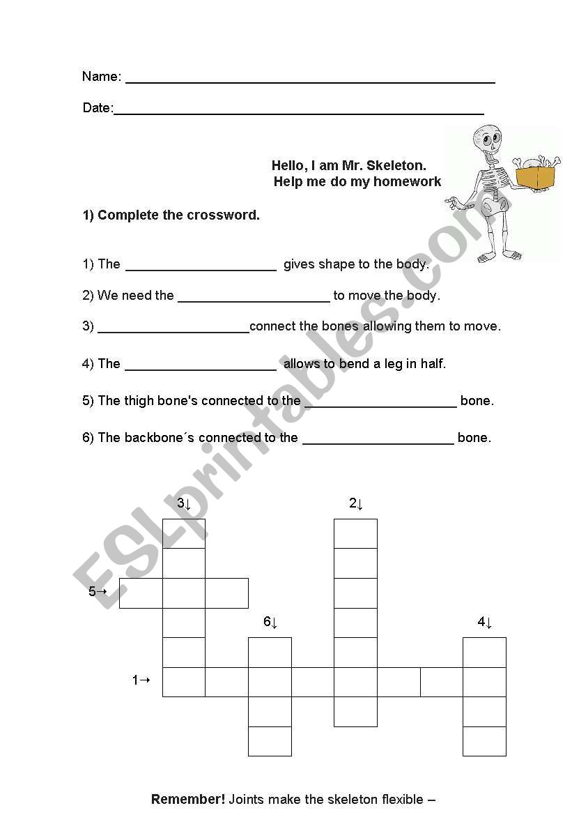 Skeleton and Muscles worksheet