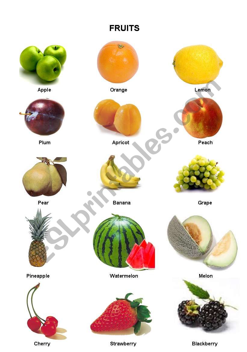 FRUITS worksheet