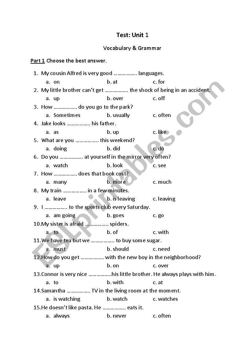 Grammar Test worksheet