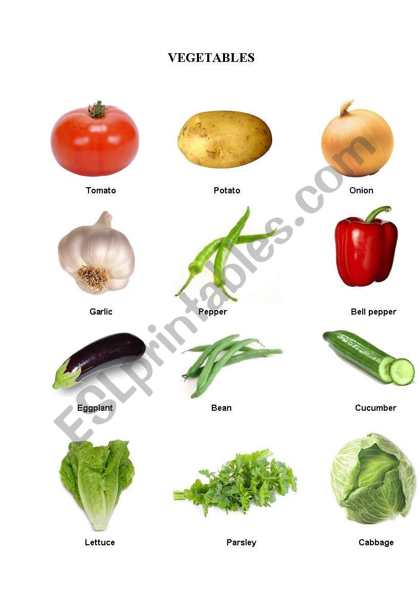 VEGETABLES worksheet