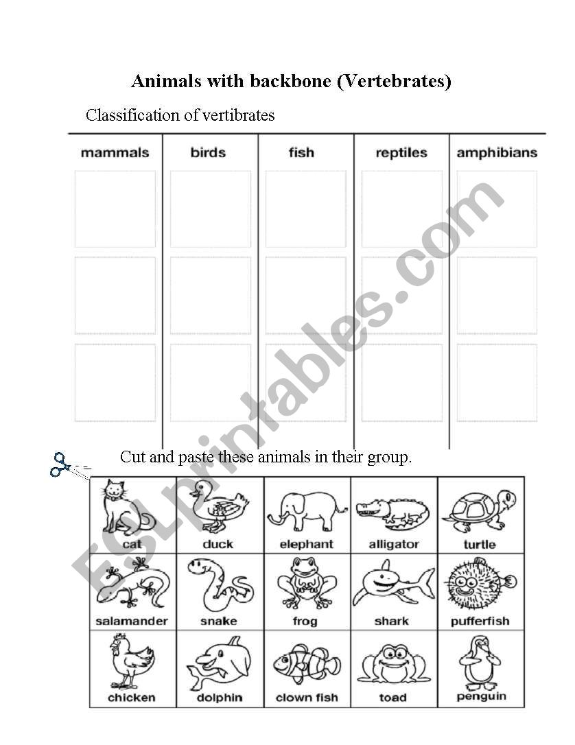 Animals with backbone worksheet