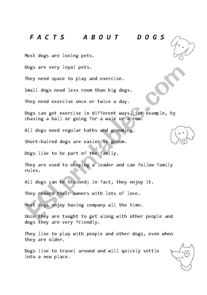 facts about dogs worksheet