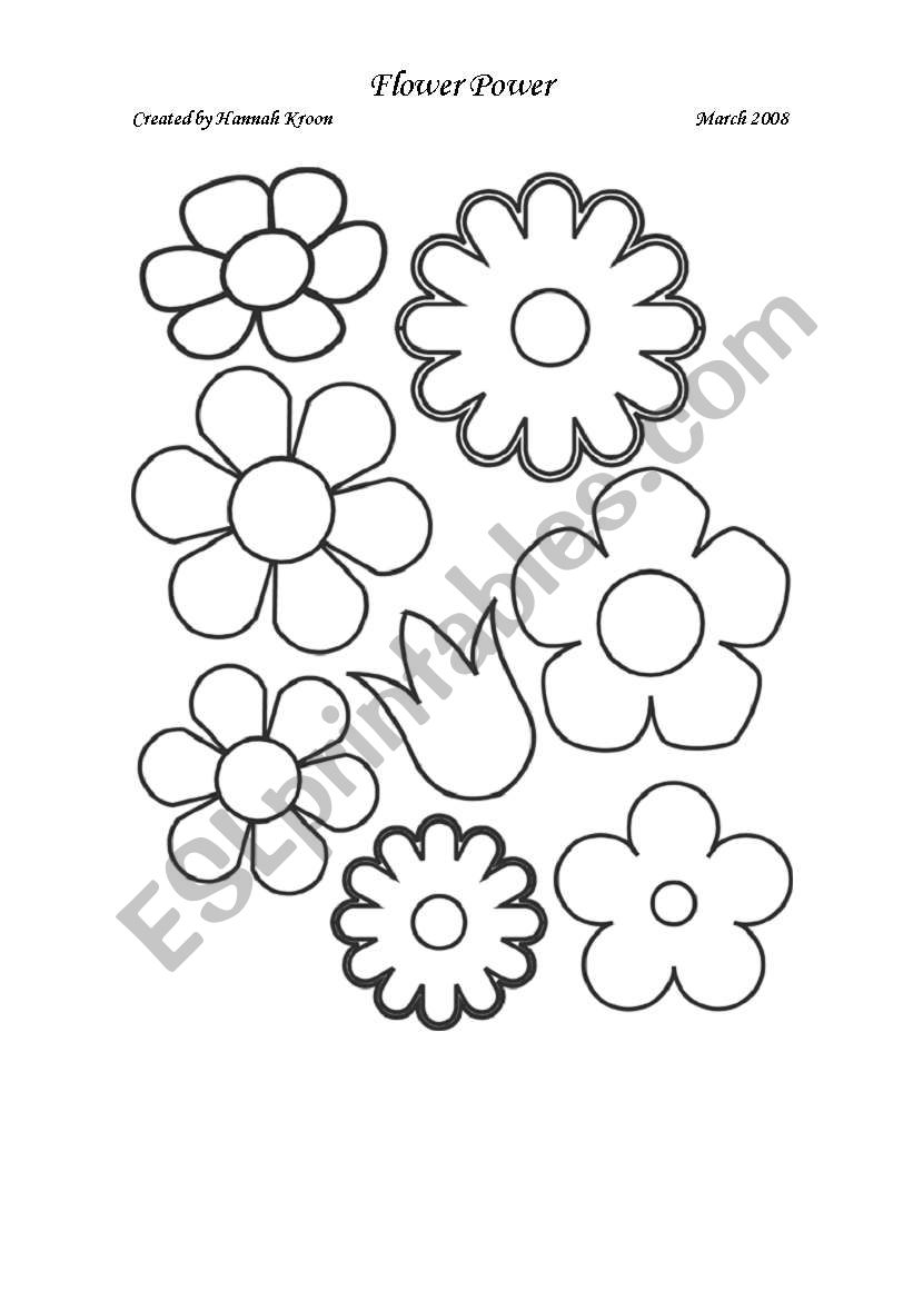 Flowers Project worksheet