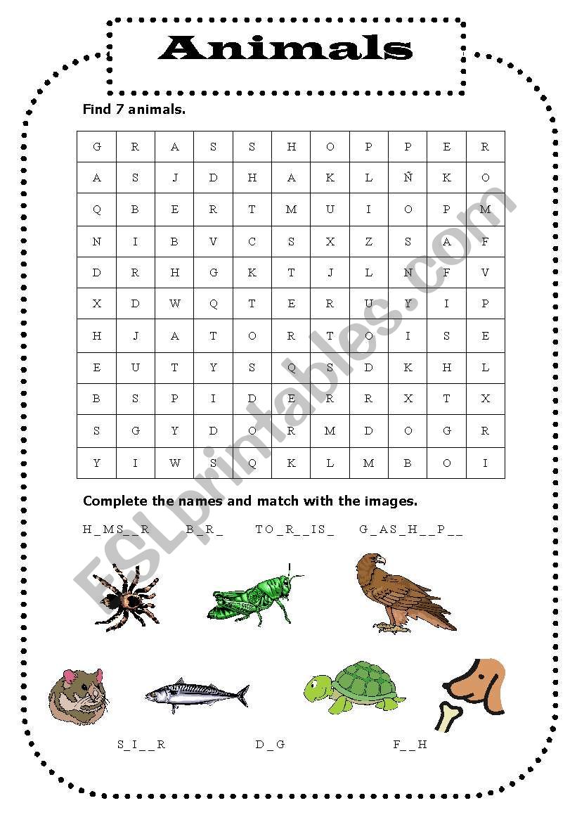 animals worksheet