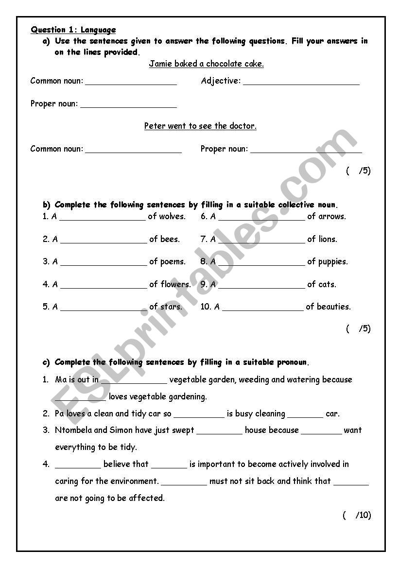 Nouns worksheet