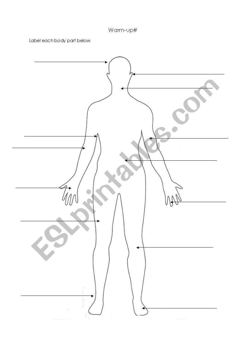 Label the Body Parts worksheet