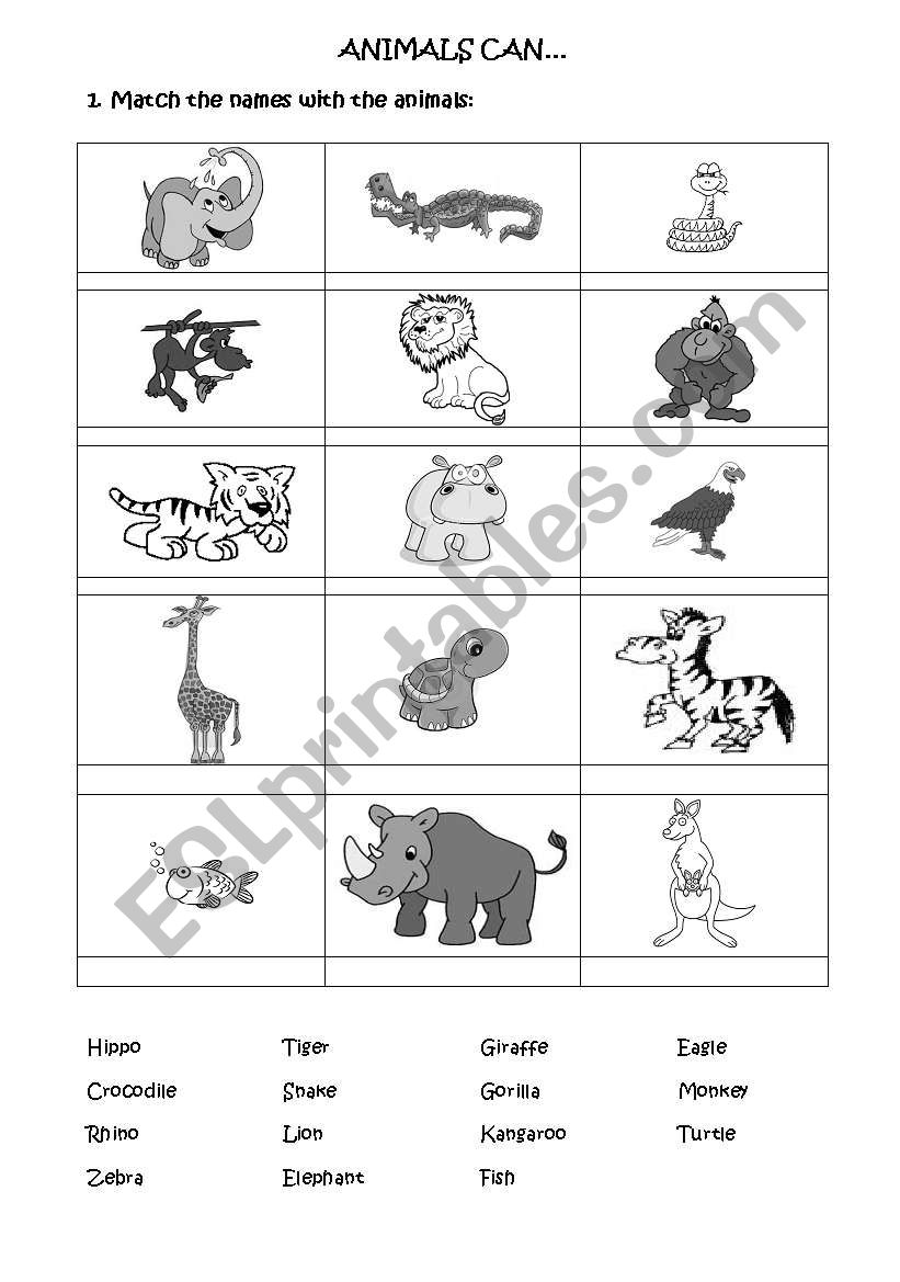 JUNGLE ANIMALS worksheet