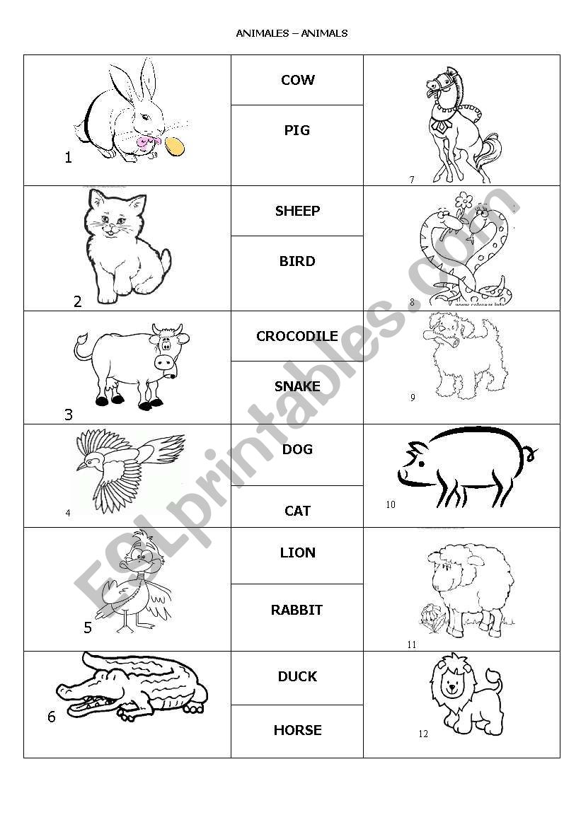 Exercises for animals worksheet