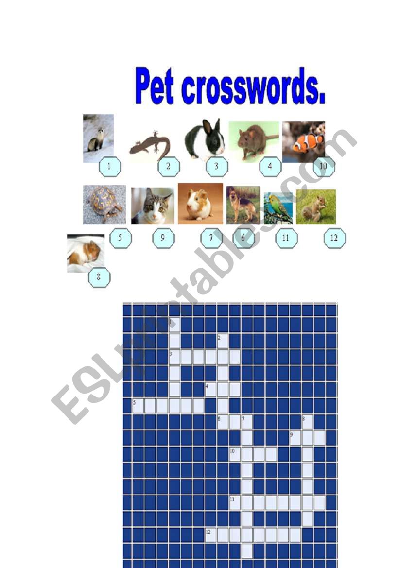 Pet crosswords, key included. worksheet