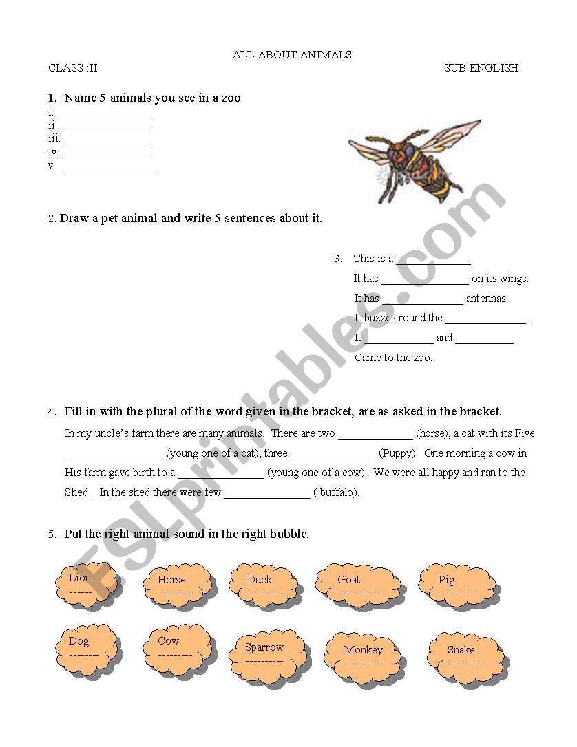 animals worksheet