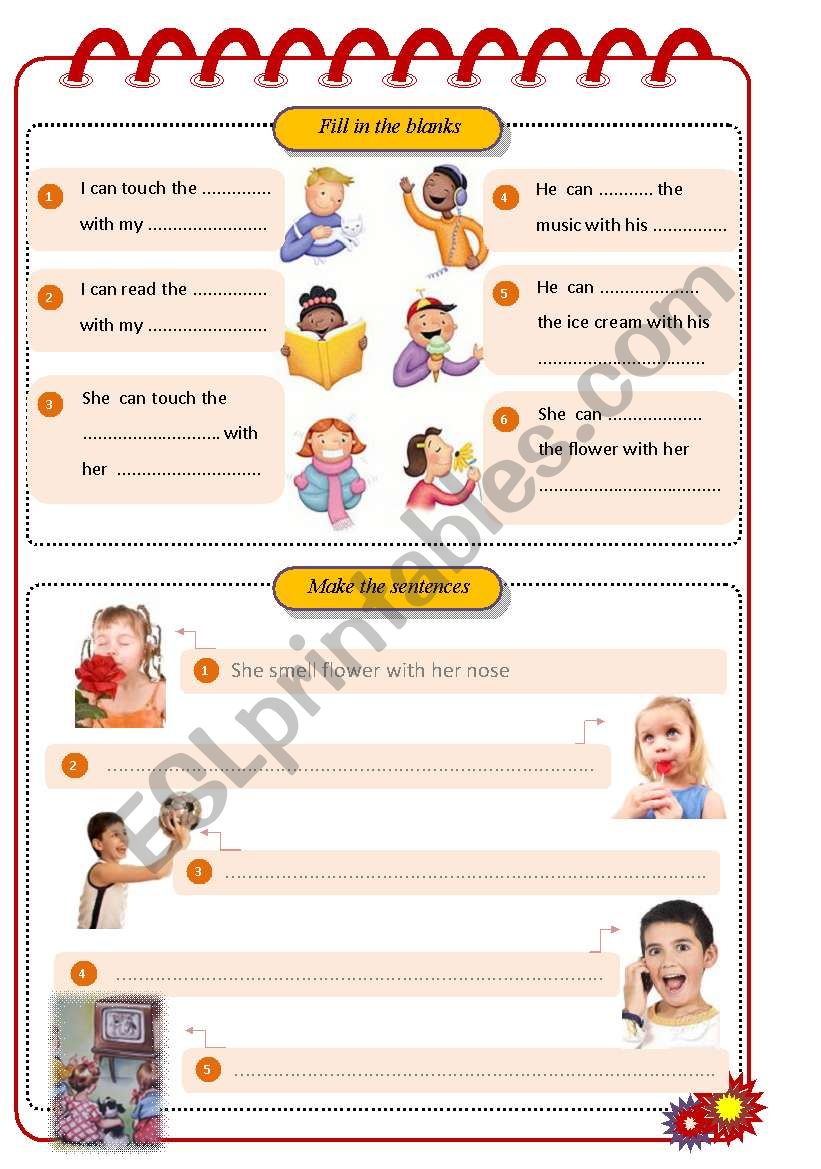 Five sense worksheet