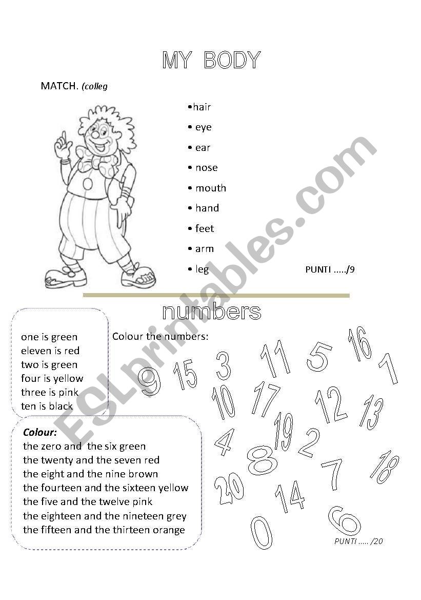 MY BODY- NUMBERS worksheet