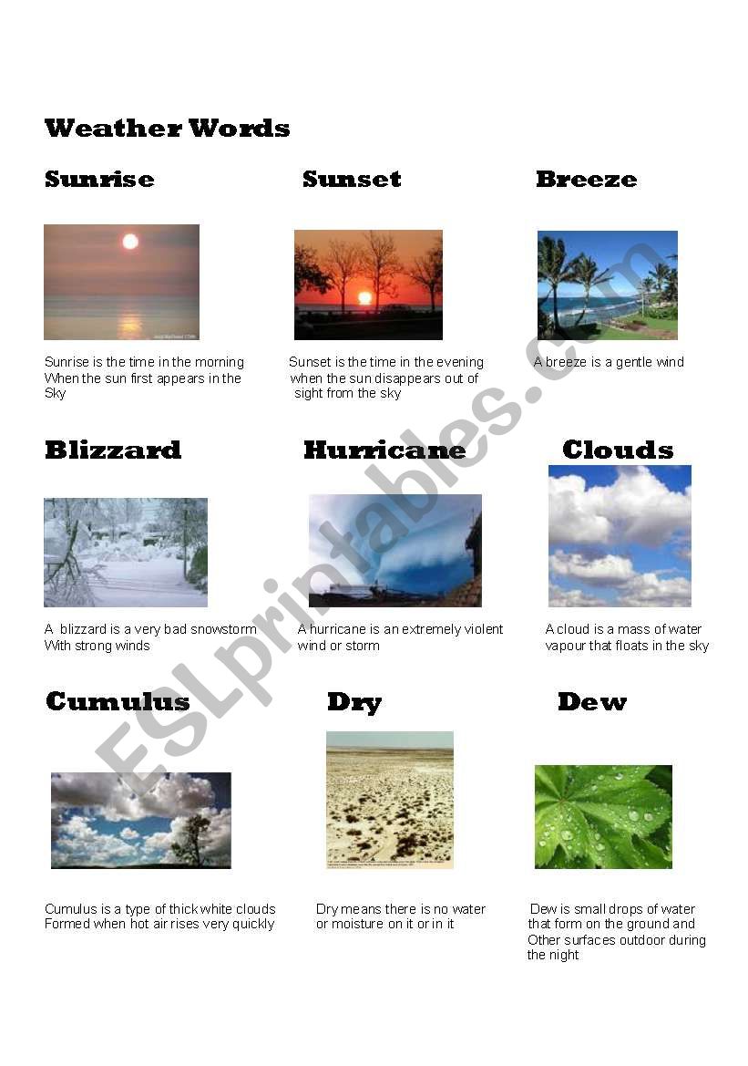 Weather Words worksheet