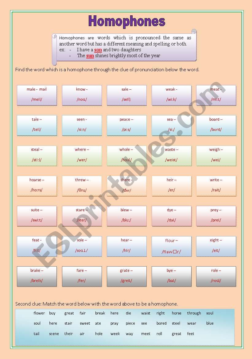 HOMOPHONES worksheet