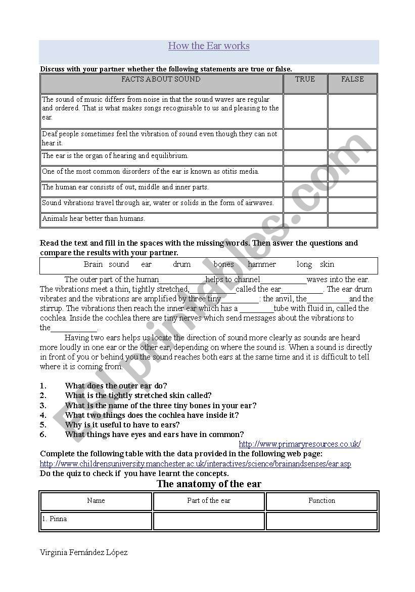 how the ear works worksheet