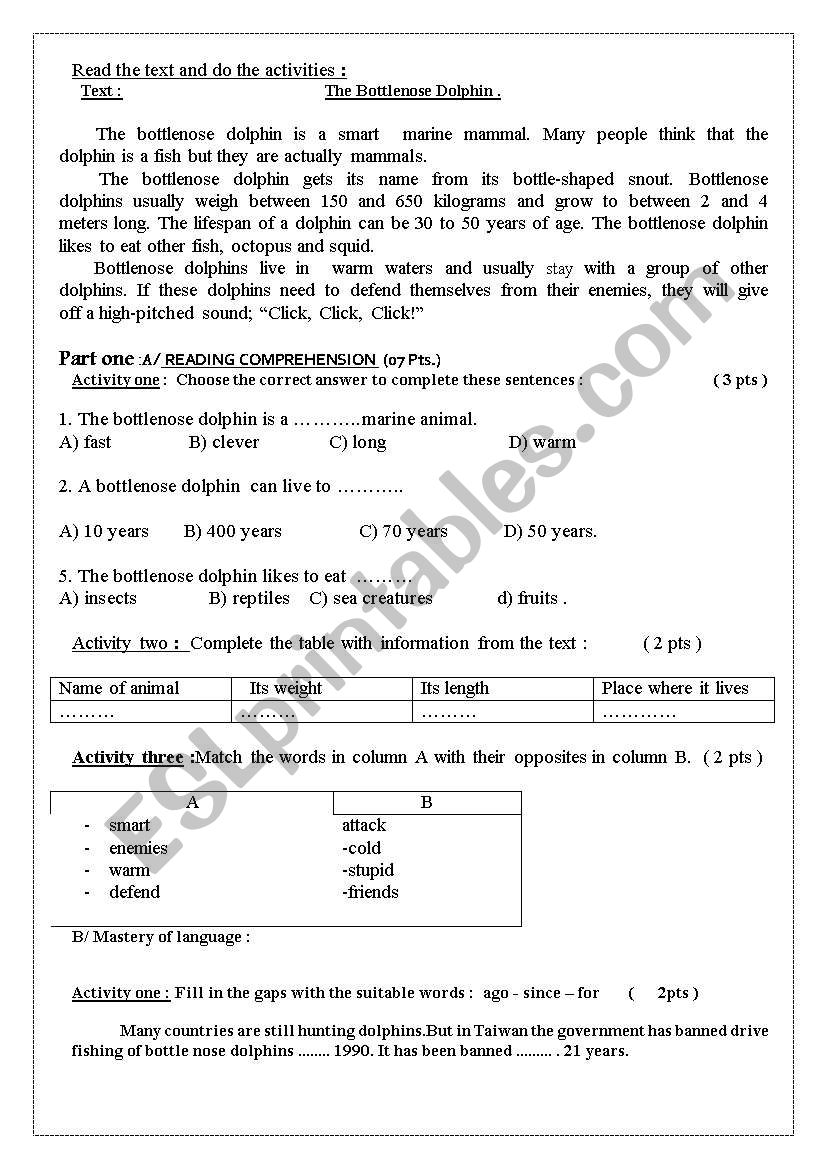 The BottleNOSE Dolphin worksheet