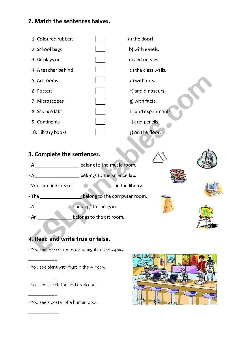 school activity worksheet