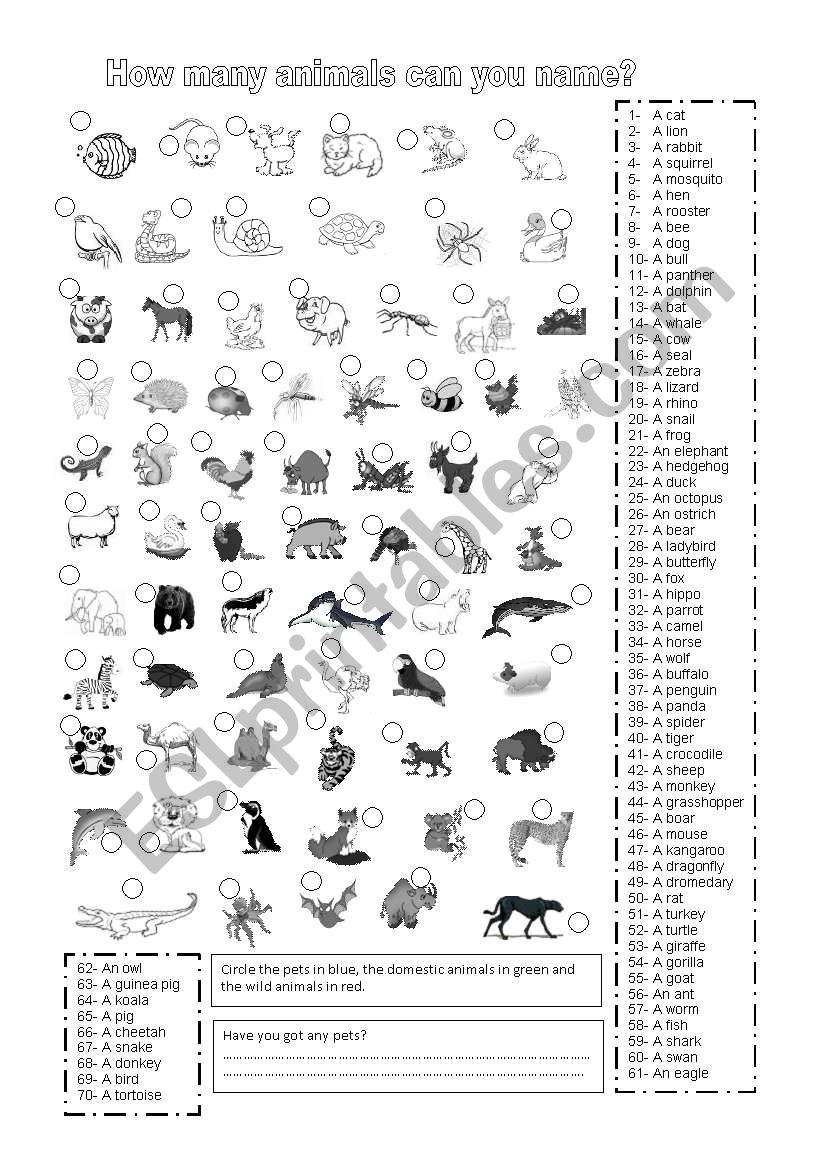 how many animals can you name?