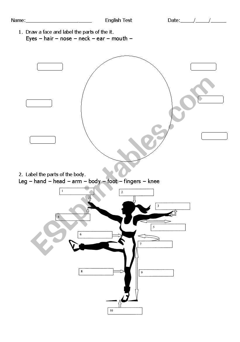 Parts of the body worksheet