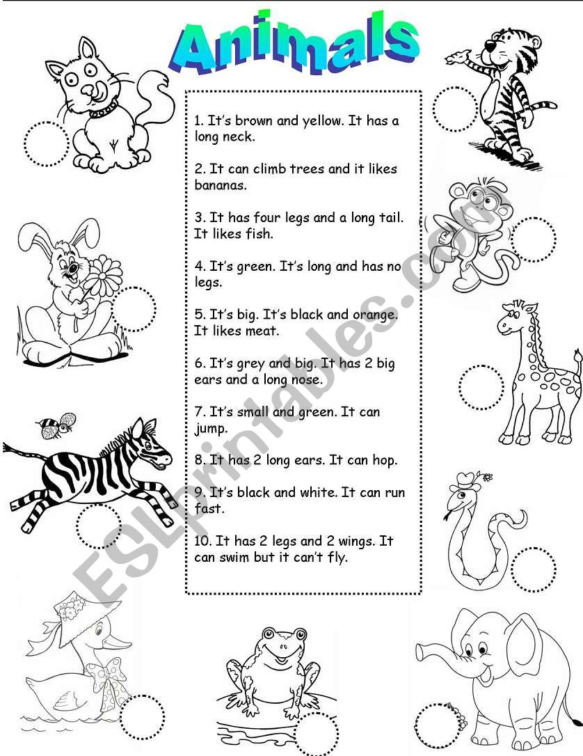 Animal Descriptions worksheet