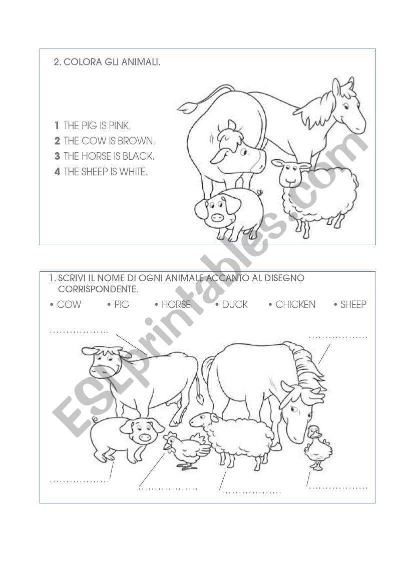 ANIMALS worksheet