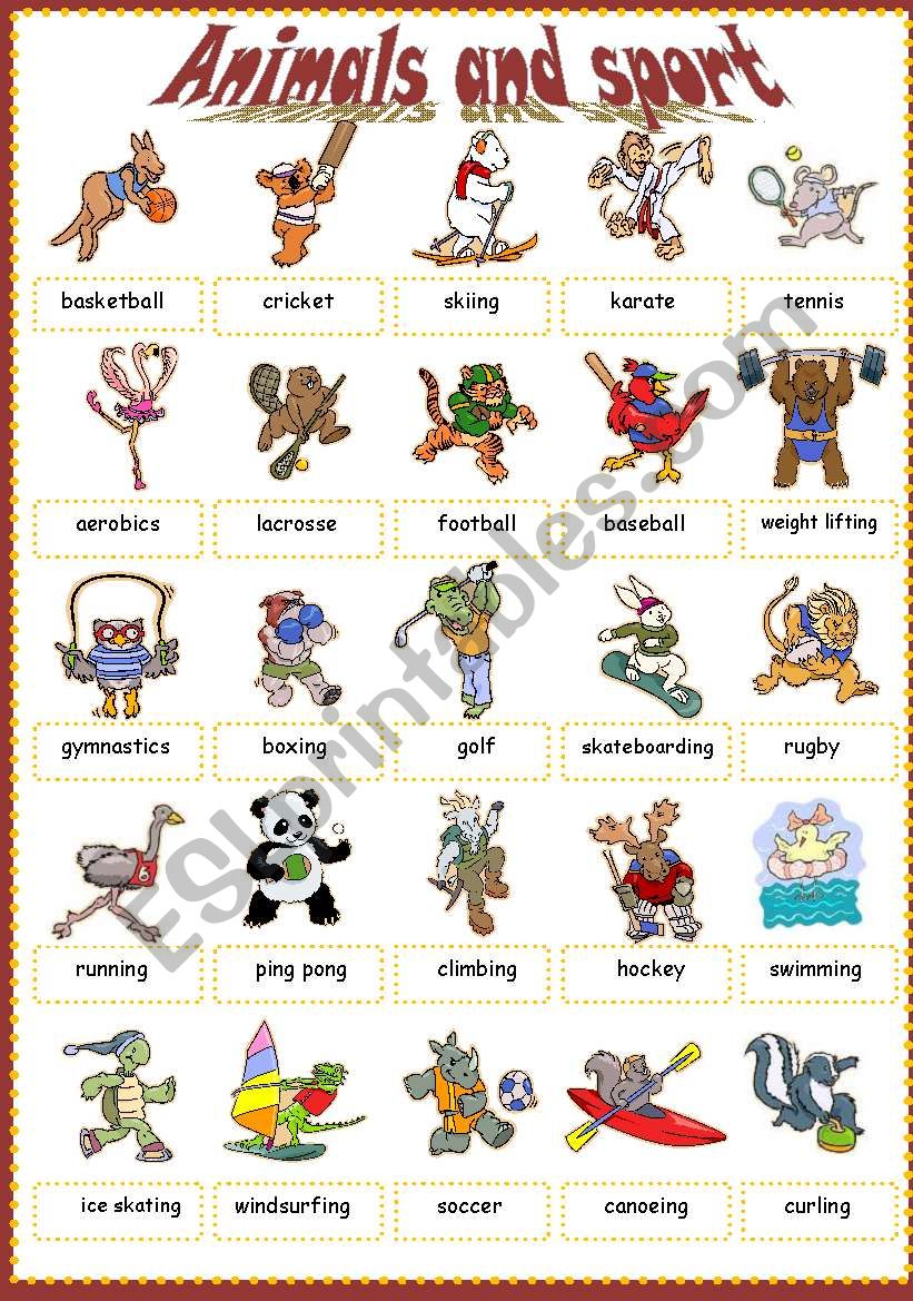 Animals and sport worksheet