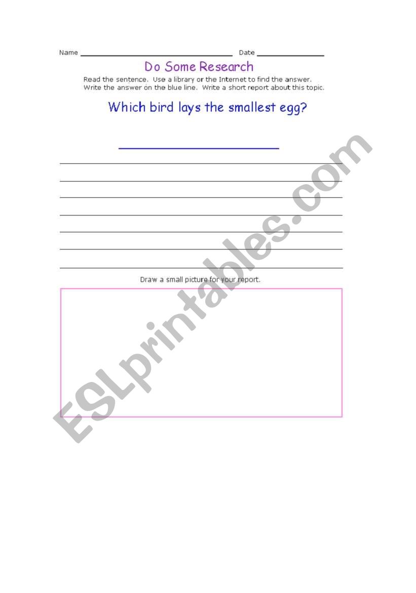 Birds worksheet