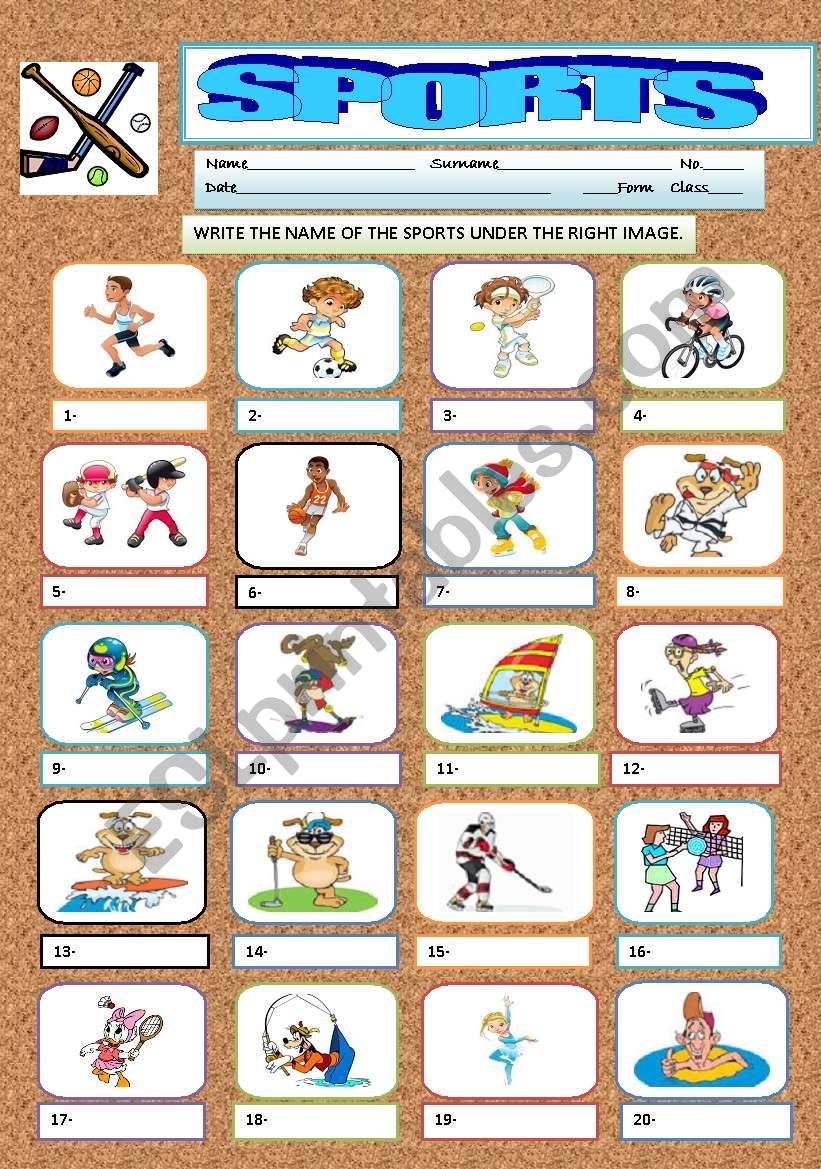 SPORTS worksheet