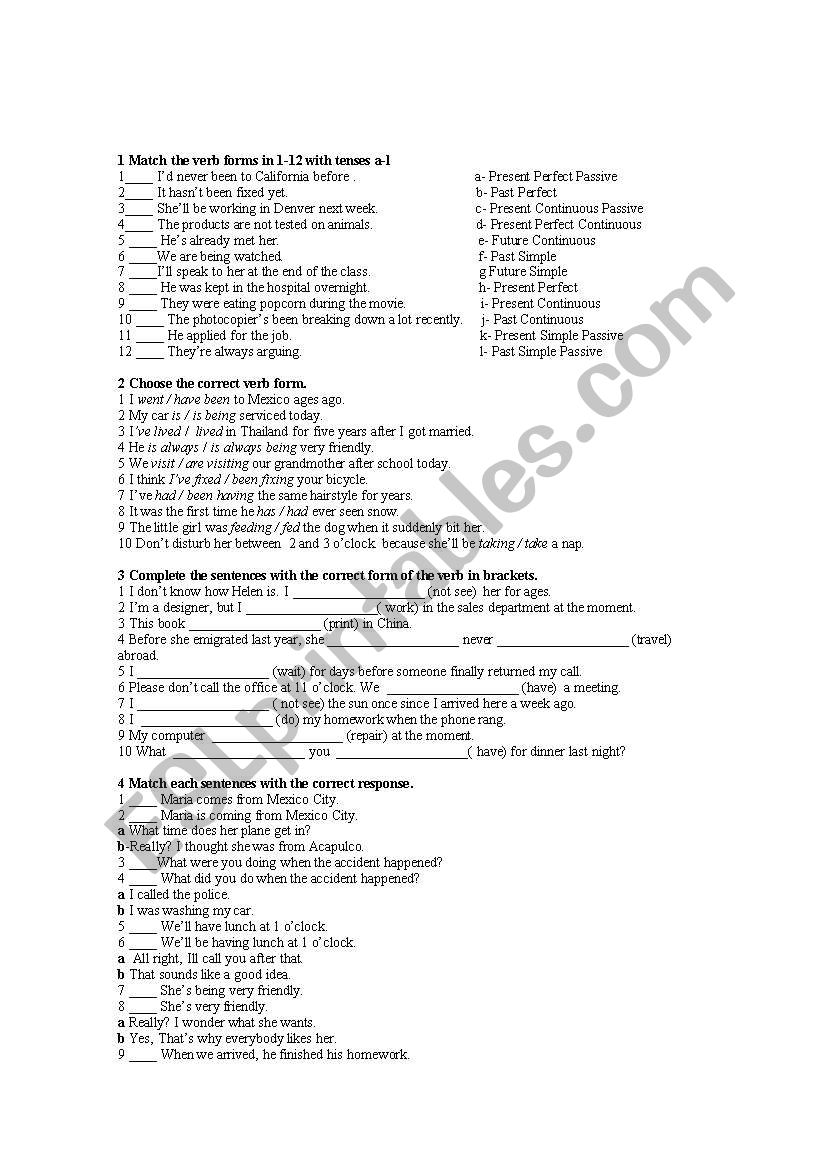 Exercises Present Perfect worksheet