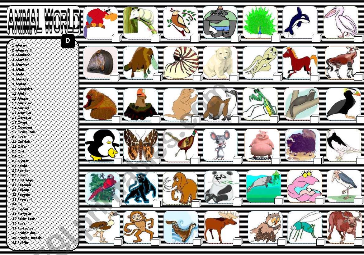 ANIMALS 4/6 worksheet