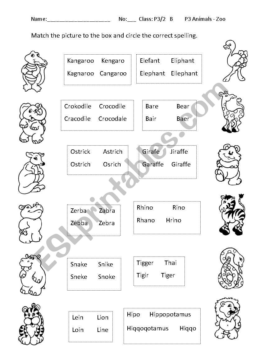 zoo worksheet