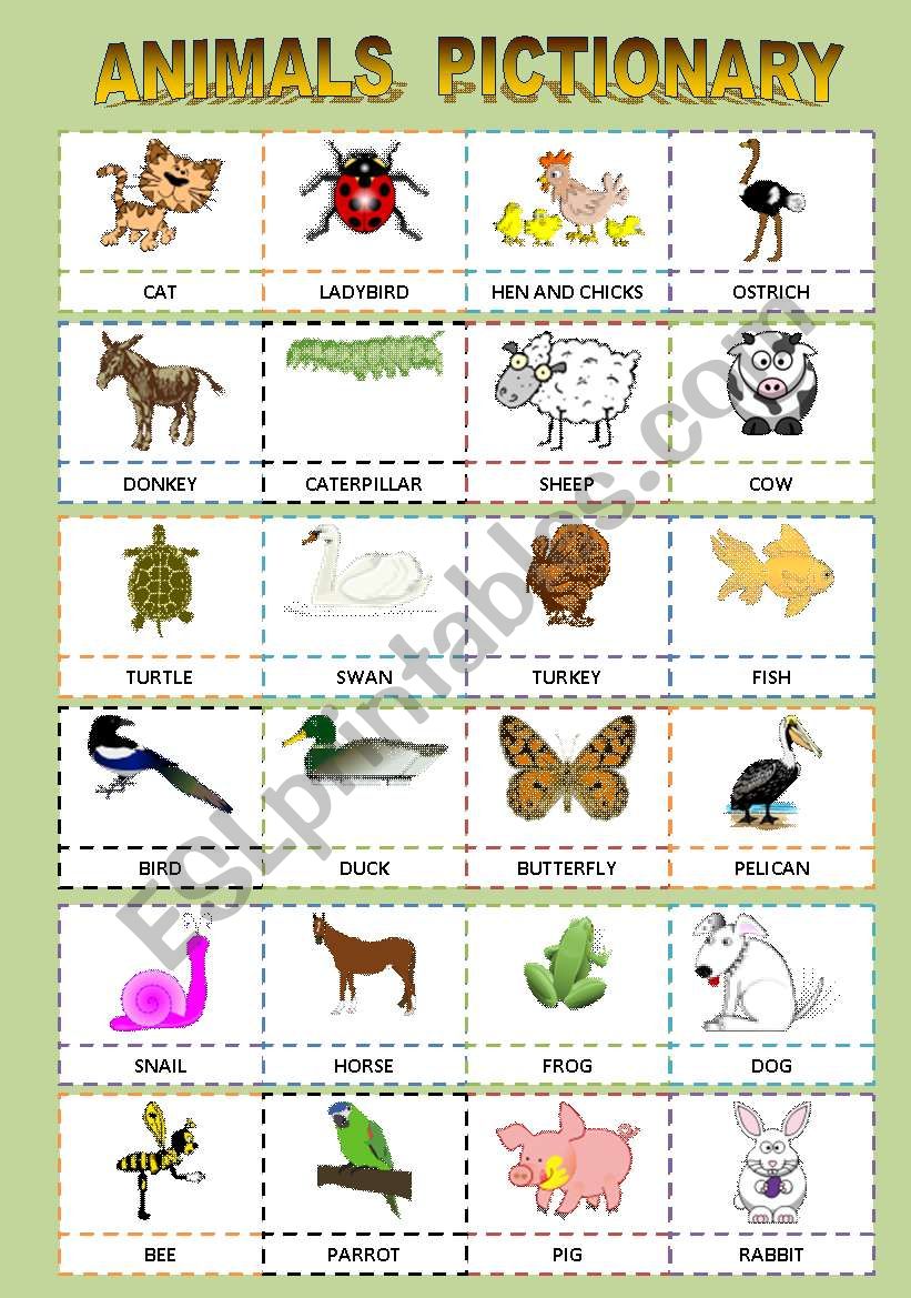 ANIMALS PICTIONARY worksheet