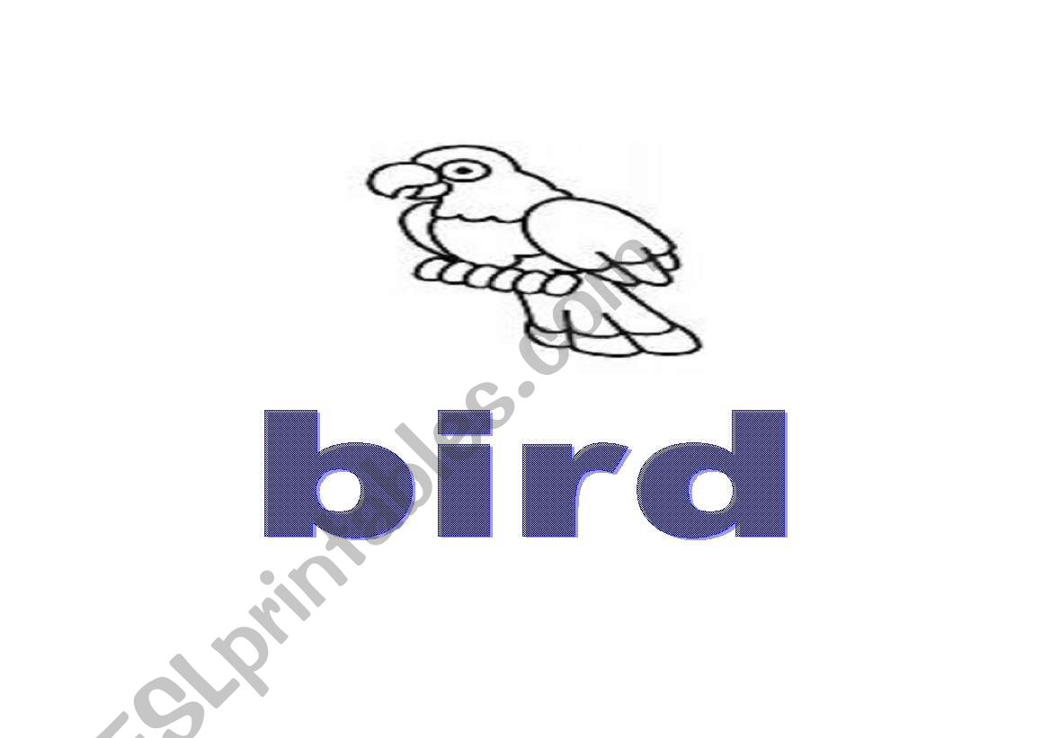 animals flash cards worksheet