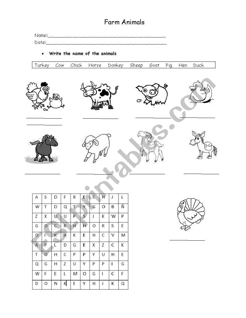 farm animals worksheet