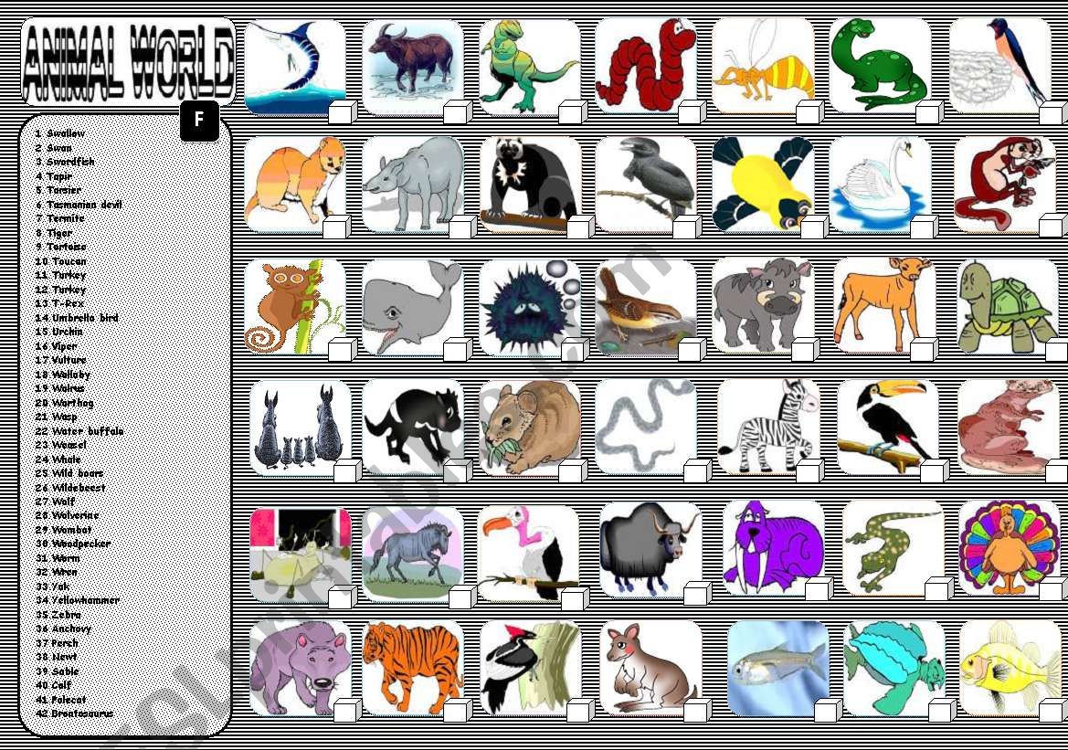 ANIMALS 6/6 worksheet