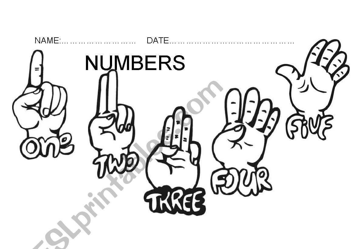 numbers worksheet