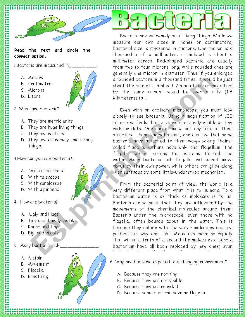 Reading comprehension-Bacteria